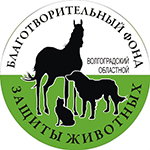 Приют "Дино" Приют "Дино"
